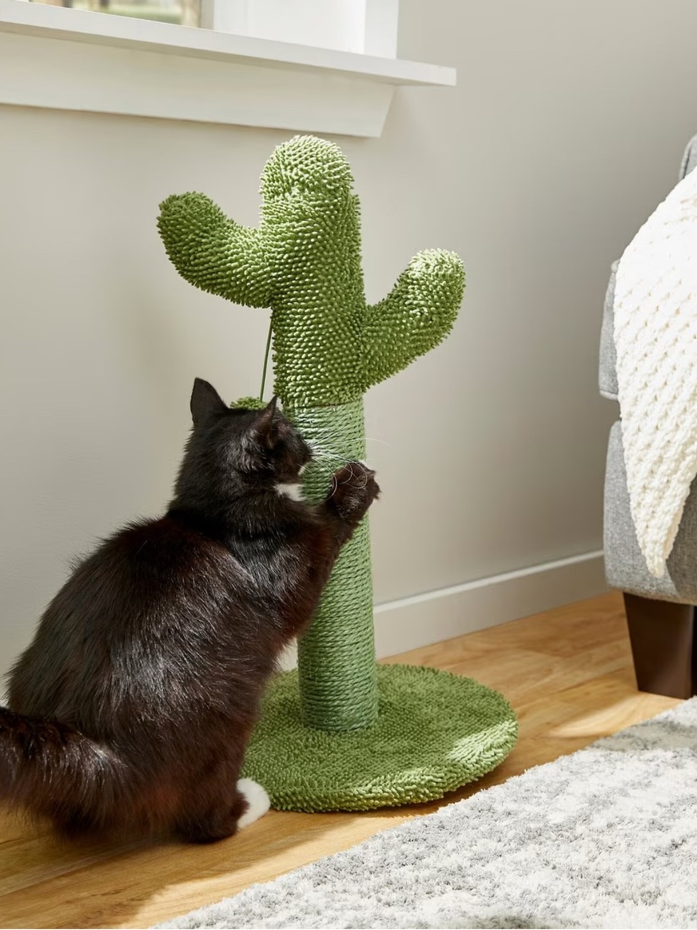 Frisco (By Chewy) Cactus Cat Scratching Post - 22” - NEW IN BOX!
